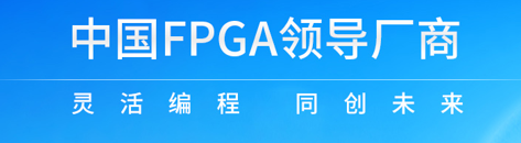 国产 FPGA 替代选型指南：从资源评估到原型验证